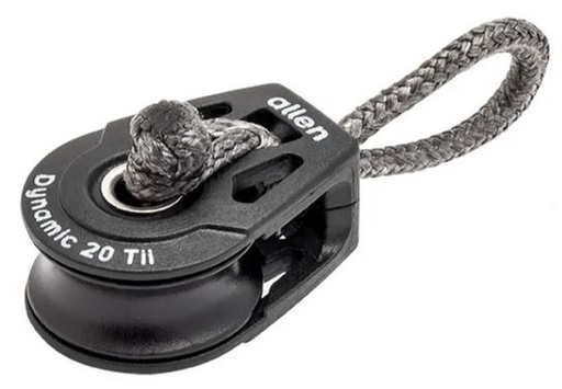 [A2020Tii] ALLEN, Poulie simple, Dynamic 20 Tii